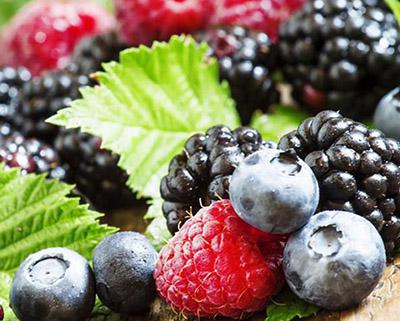 藍(lán)莓、樹莓、草莓飲料生產(chǎn)線